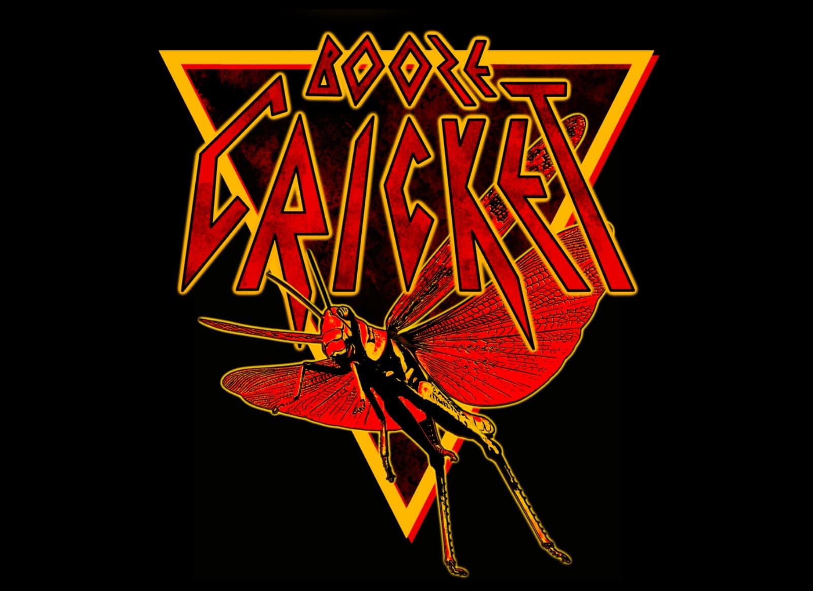 Logo Booze Cricket